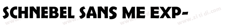 Schnebel Sans ME Exp字体转换